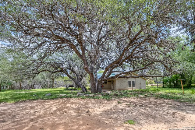 a view of a house with a tree in the background