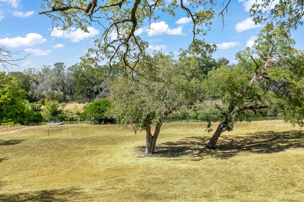 229 Ranch Road 1 Stonewall, TX 78671 - Photo 19 of 25 a view of a yard with an trees