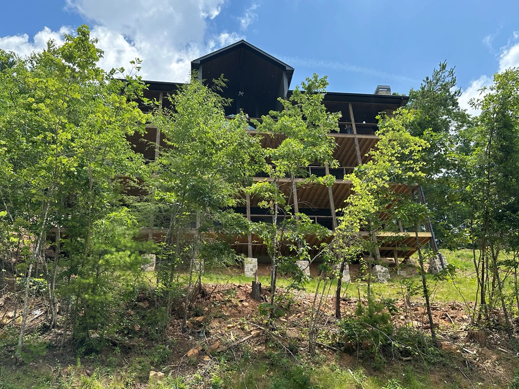 121 Stanley Creek Road Blue Ridge, GA 30513 - Photo 4 of 5 Gallery Image 4