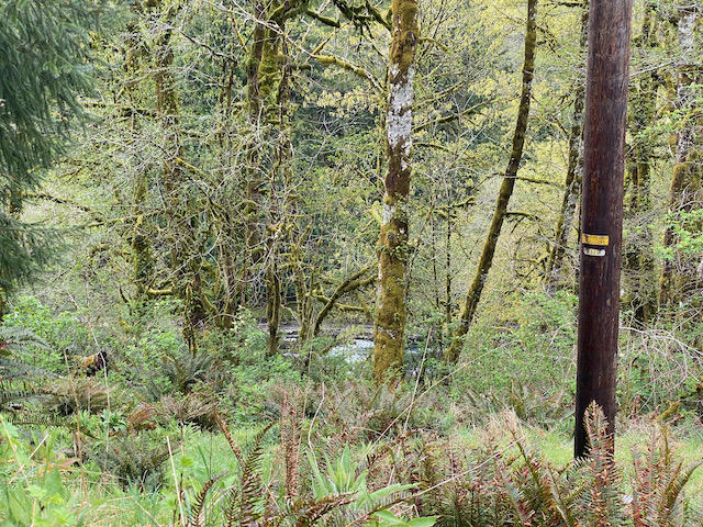 109 Trask River Road Tillamook, OR 97141 - Photo 4 of 21 IMG_7980