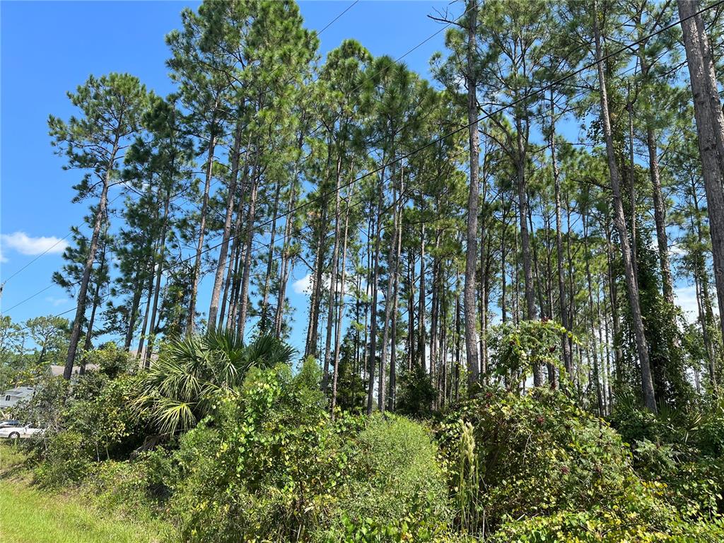 21 Ridley Lane Palm Coast, FL 32164 - Photo 1 of 1 Gallery Image 1