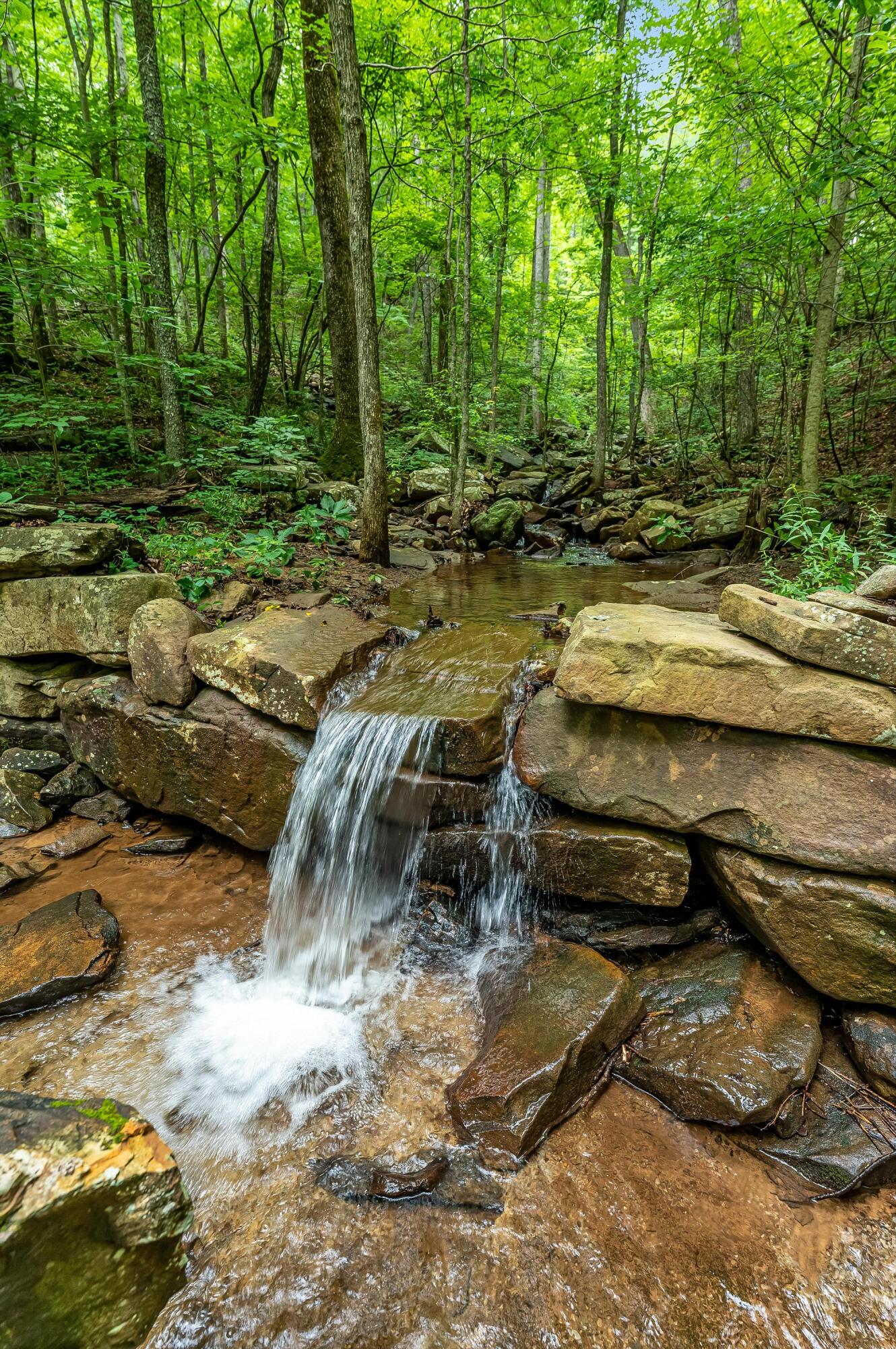 181 Skyhigh Trail Dunlap, TN 37327 - Photo 103 of 119 Fredonia_Mt_Nature_Resort_0011