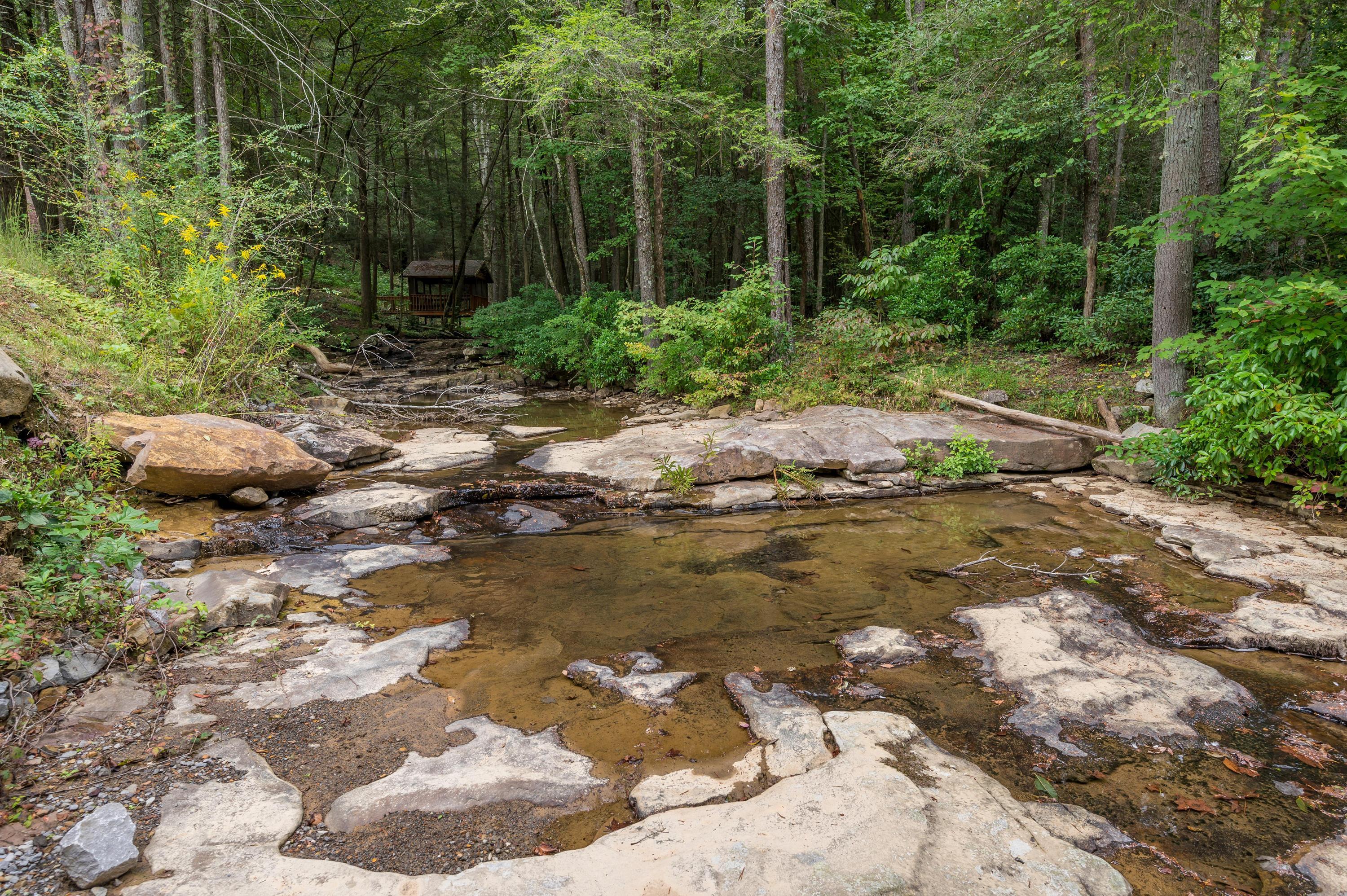 181 Skyhigh Trail Dunlap, TN 37327 - Photo 109 of 119 Fredonia_Mt_Nature_Resort_0017