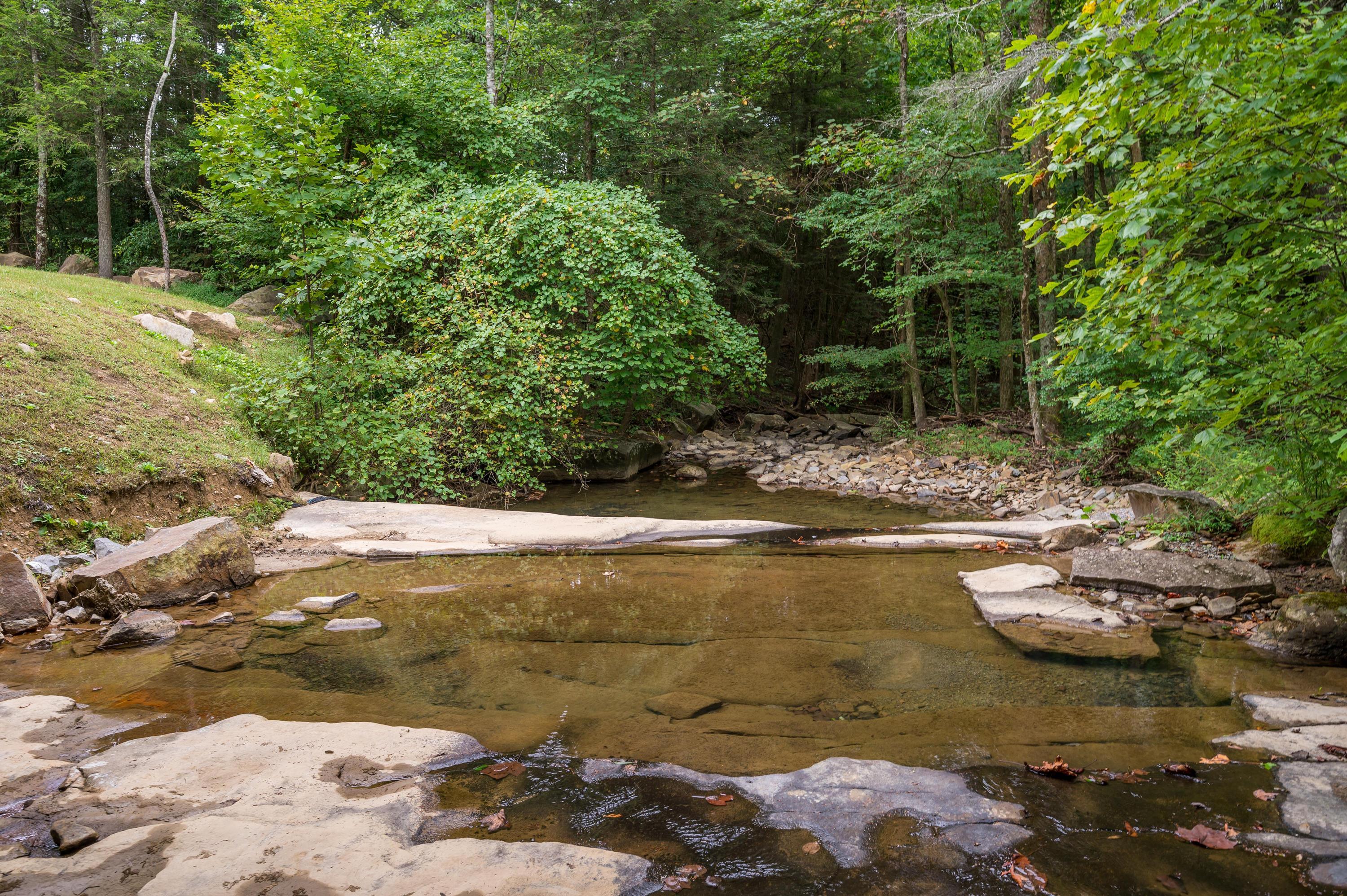 181 Skyhigh Trail Dunlap, TN 37327 - Photo 110 of 119 Fredonia_Mt_Nature_Resort_0018