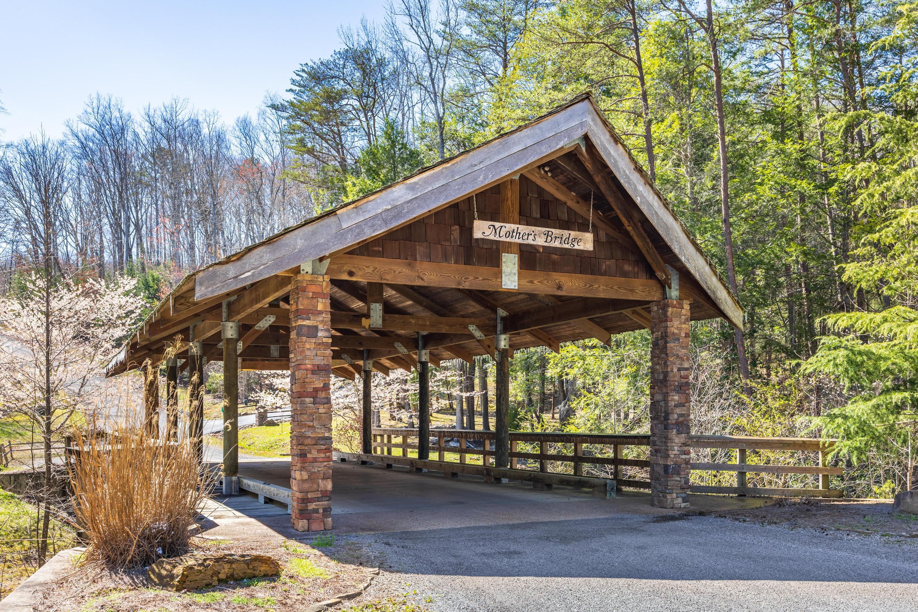 181 Skyhigh Trail Dunlap, TN 37327 - Photo 119 of 119 Fredonia_Mt_Nature_Resort_0027