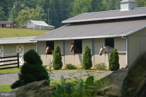 6231 Coon Tree Road The Plains, VA 20198 - Photo 16 of 19 Exterior (General)