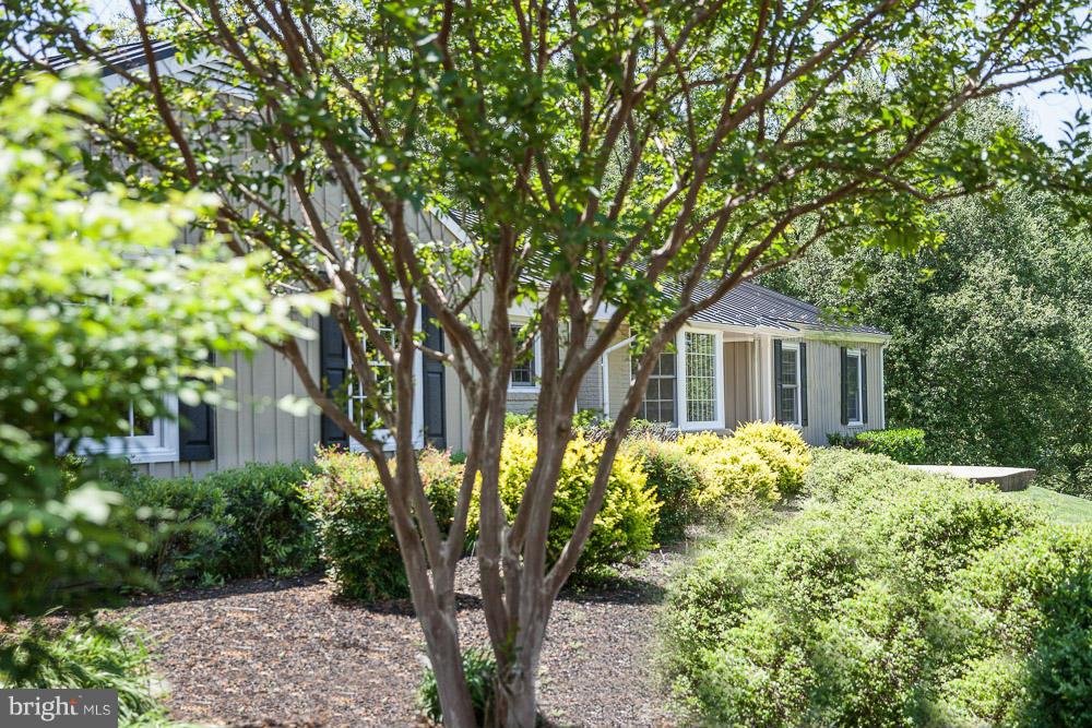 6231 Coon Tree Road The Plains, VA 20198 - Photo 9 of 19 Exterior (Front)