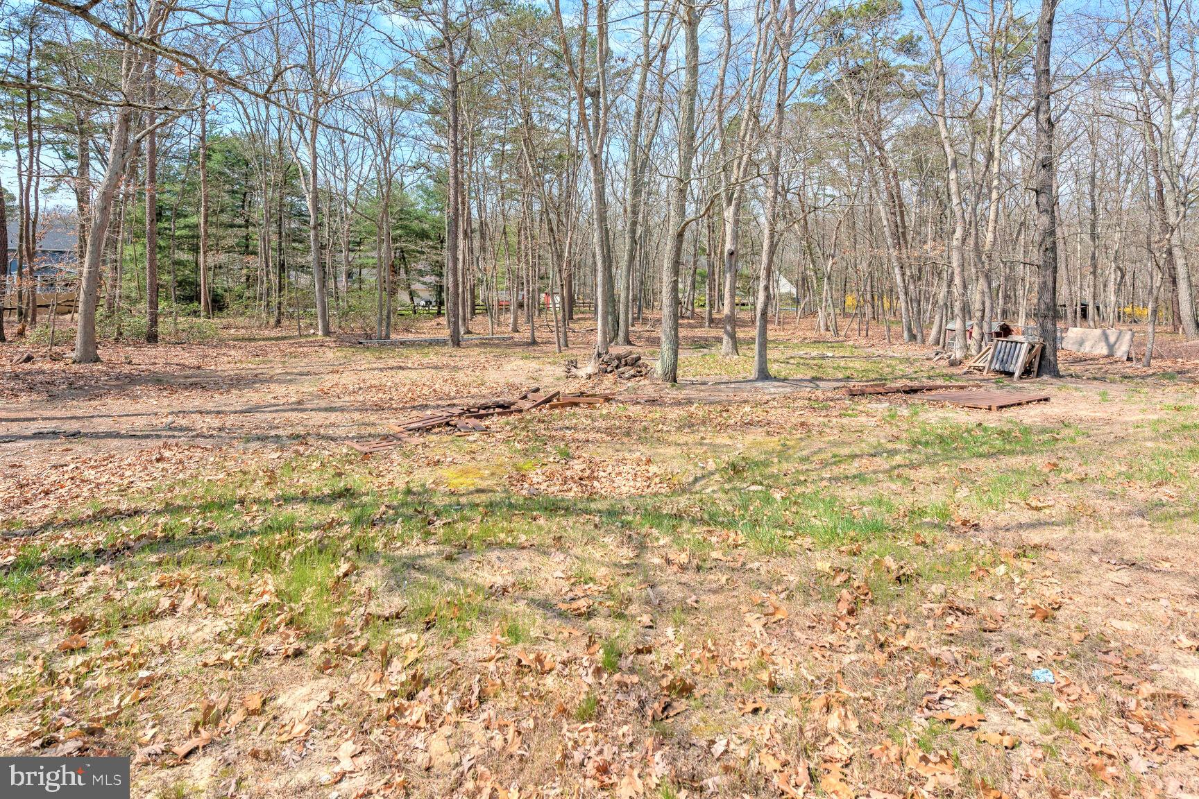 792 McKendimen Road Shamong, NJ 08088 - Photo 23 of 24