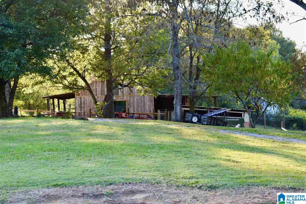 2441 Old Hayden Road Warrior, AL 35180 - Photo 11 of 42