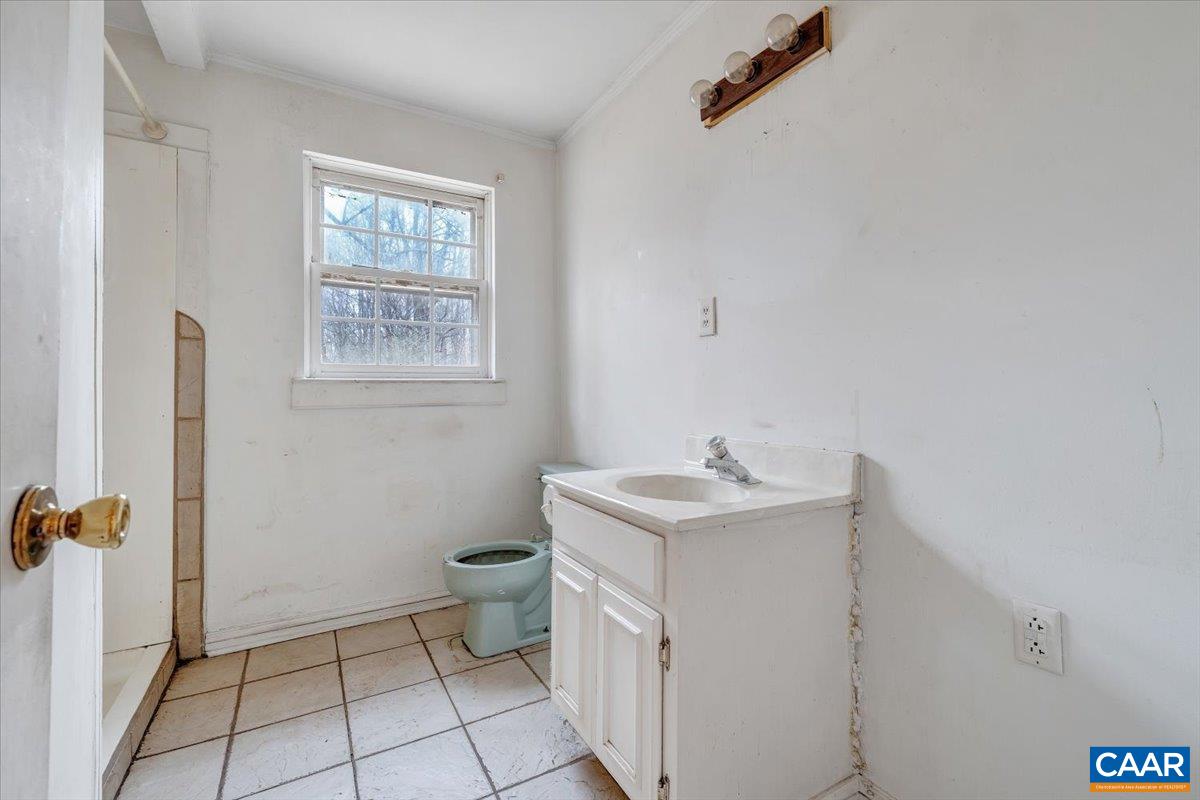 2420 James River Road Esmont, VA 22937 - Photo 53 of 75 a bathroom with a sink toilet and vanity