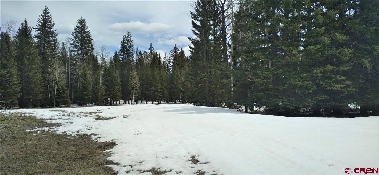 770 Spruce Road Cimarron, CO 81220 - Photo 2 of 8 Gallery Image 2