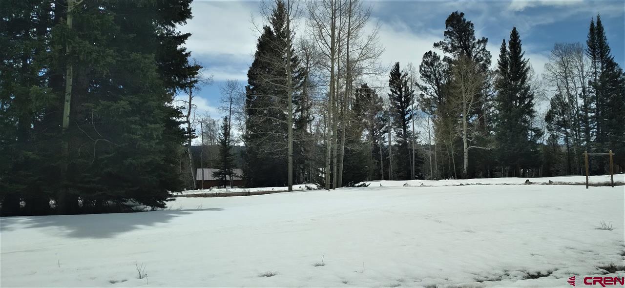 770 Spruce Road Cimarron, CO 81220 - Photo 3 of 8 Gallery Image 3