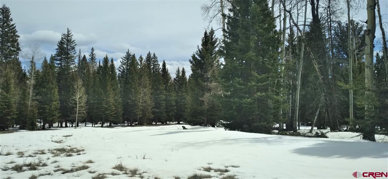 770 Spruce Road Cimarron, CO 81220 - Photo 7 of 8 Gallery Image 7