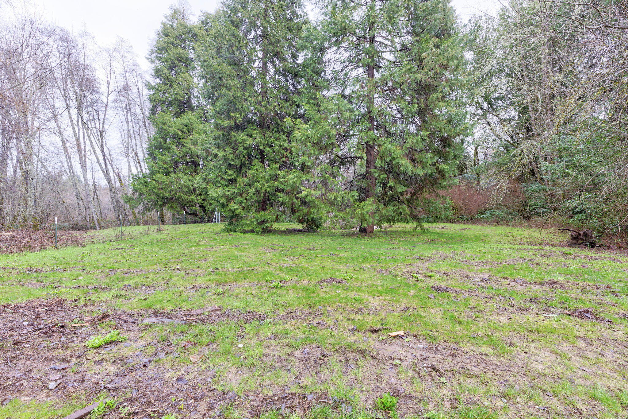 800 Hummingbird Road Cave Junction, OR 97523 - Photo 25 of 36 48-web-or-mls-800-hummingbird-rd
