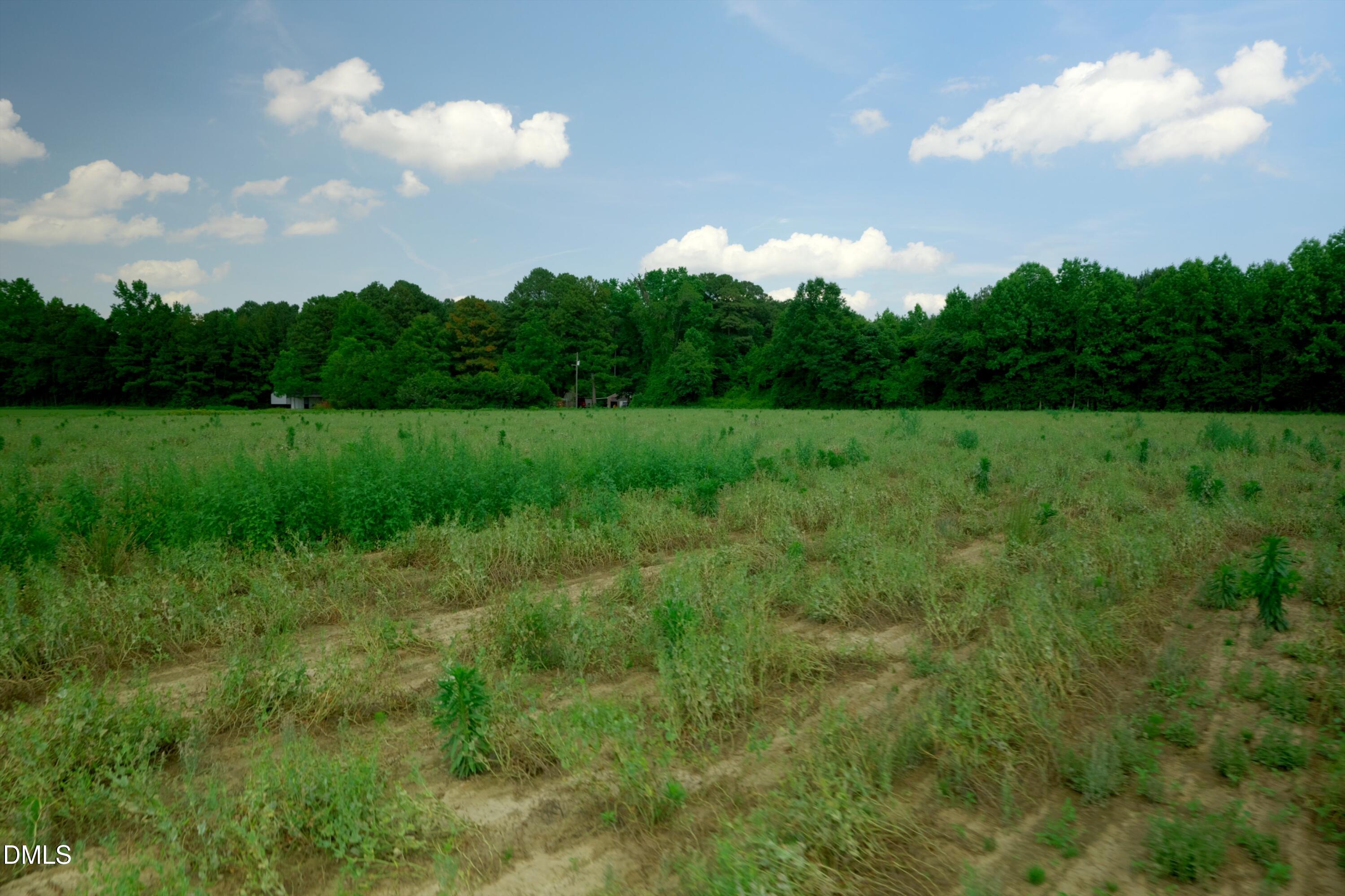 1 Bowden Road Turkey, NC 28393 - Photo 29 of 33