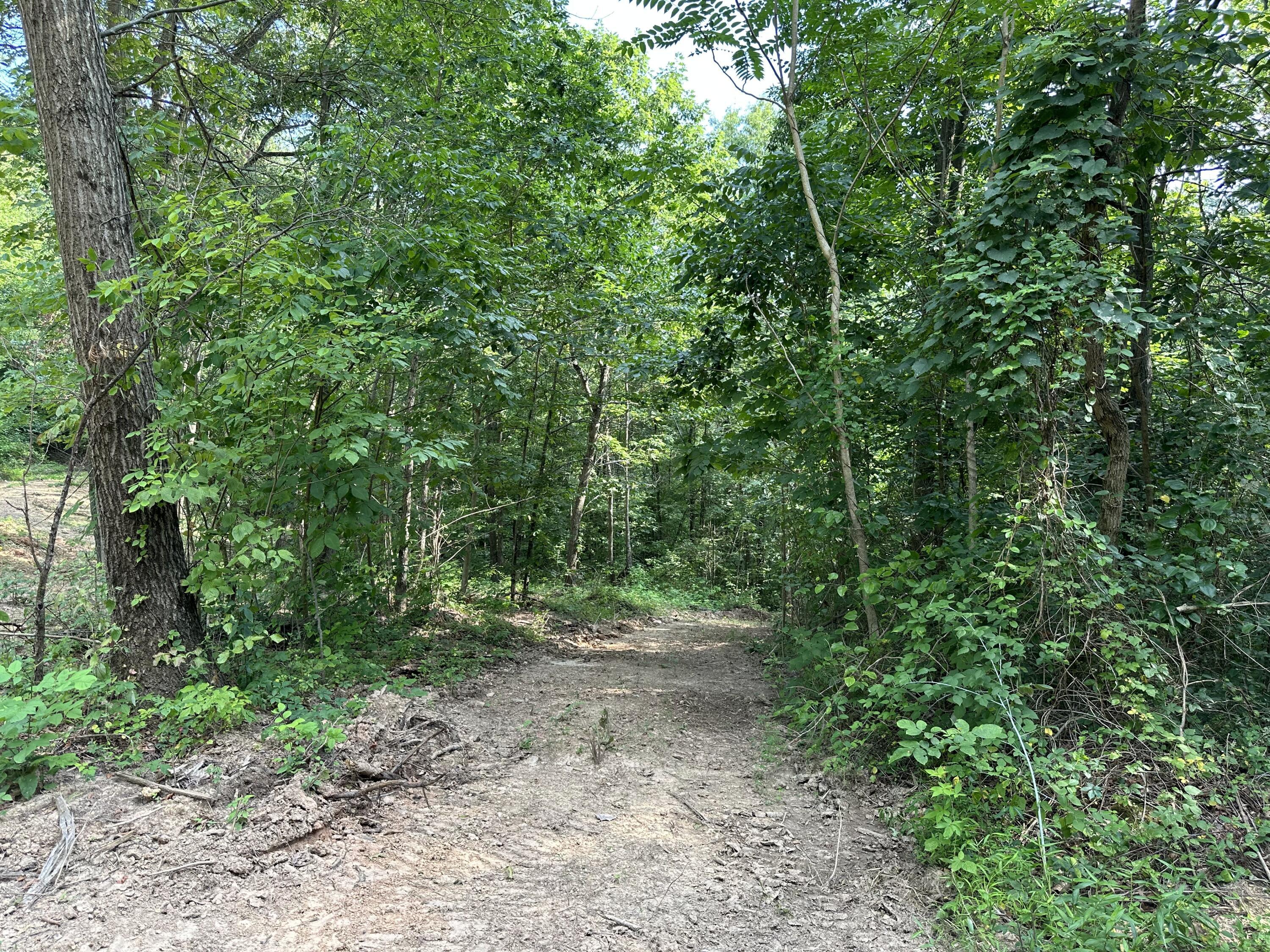 6690 Old State Road, Unit PERRY RIDGE TRACT 6) Crooksville, OH 43731 - Photo 27 of 36 20230804_211746620_iOS