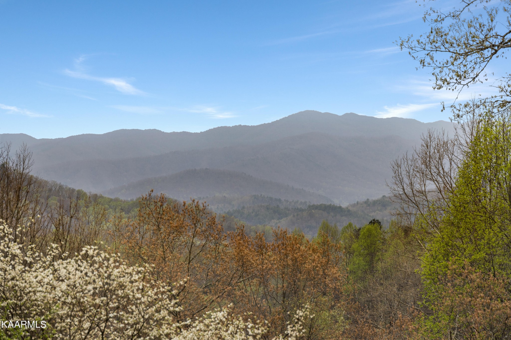 835 Rudd Hollow Road Townsend, TN 37882 - Photo 20 of 20