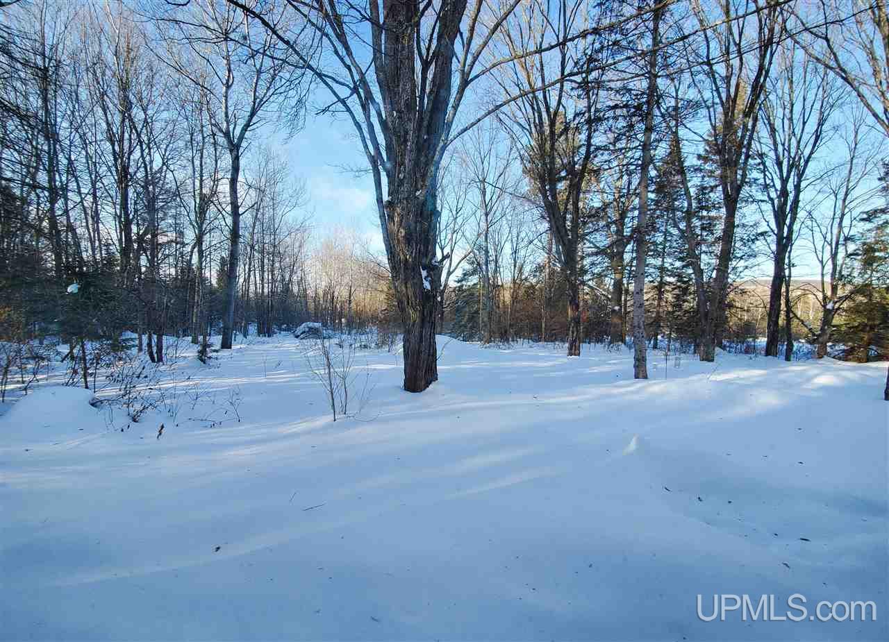 N10671 Blackjack Road Bessemer, MI 49911 - Photo 27 of 30 Gallery Image 27