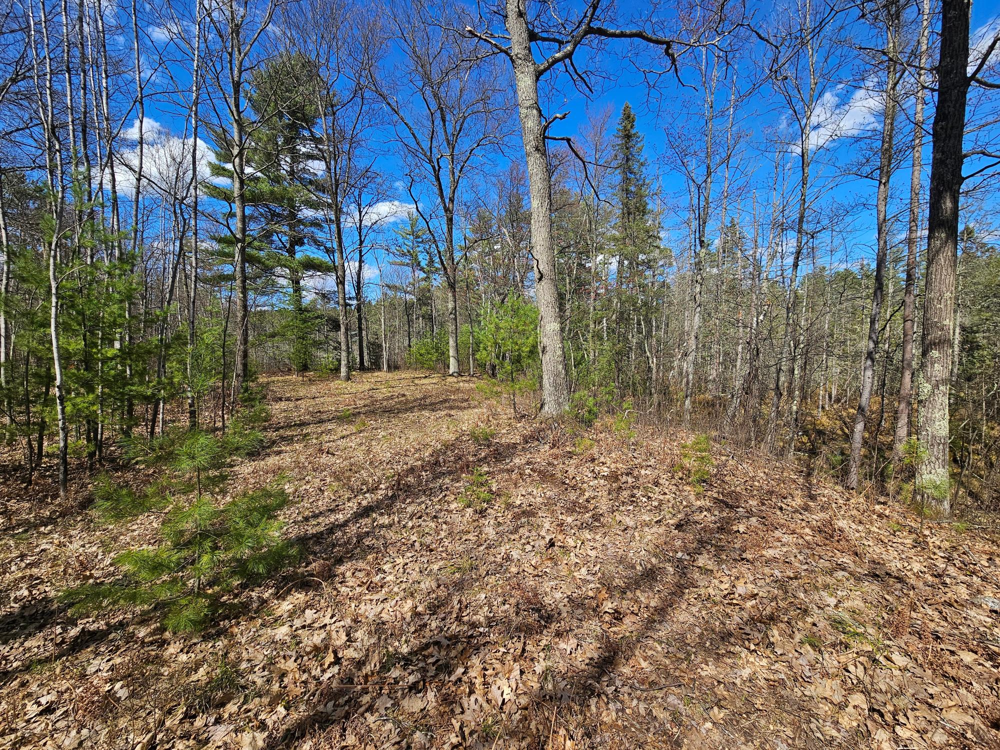 On Howards End Road Minocqua, WI 54548 - Photo 8 of 15 Gallery Image 8