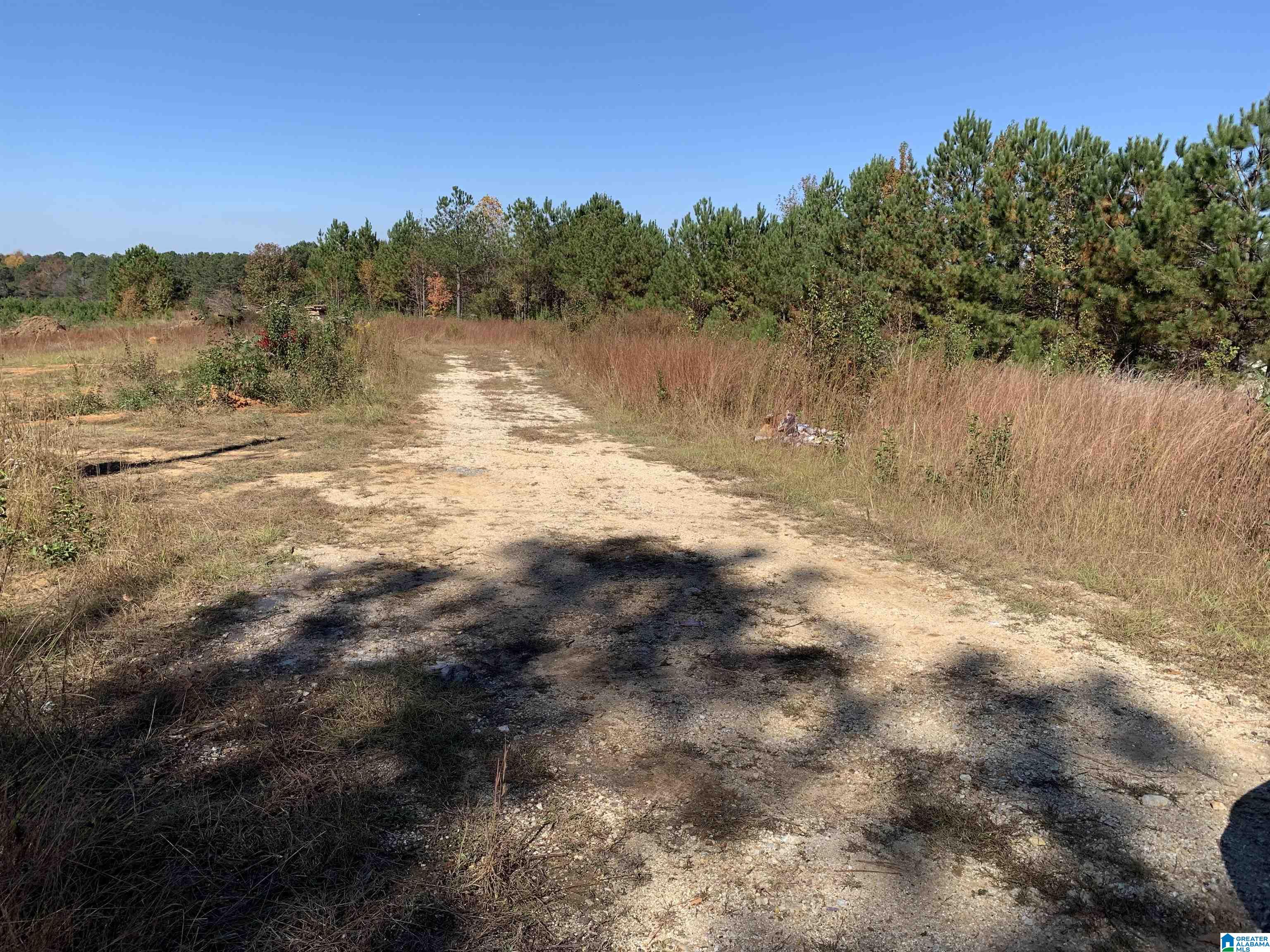 3 Lazy Y Road, Unit 3 Hayden, AL 35079 - Photo 1 of 1 Gallery Image 1