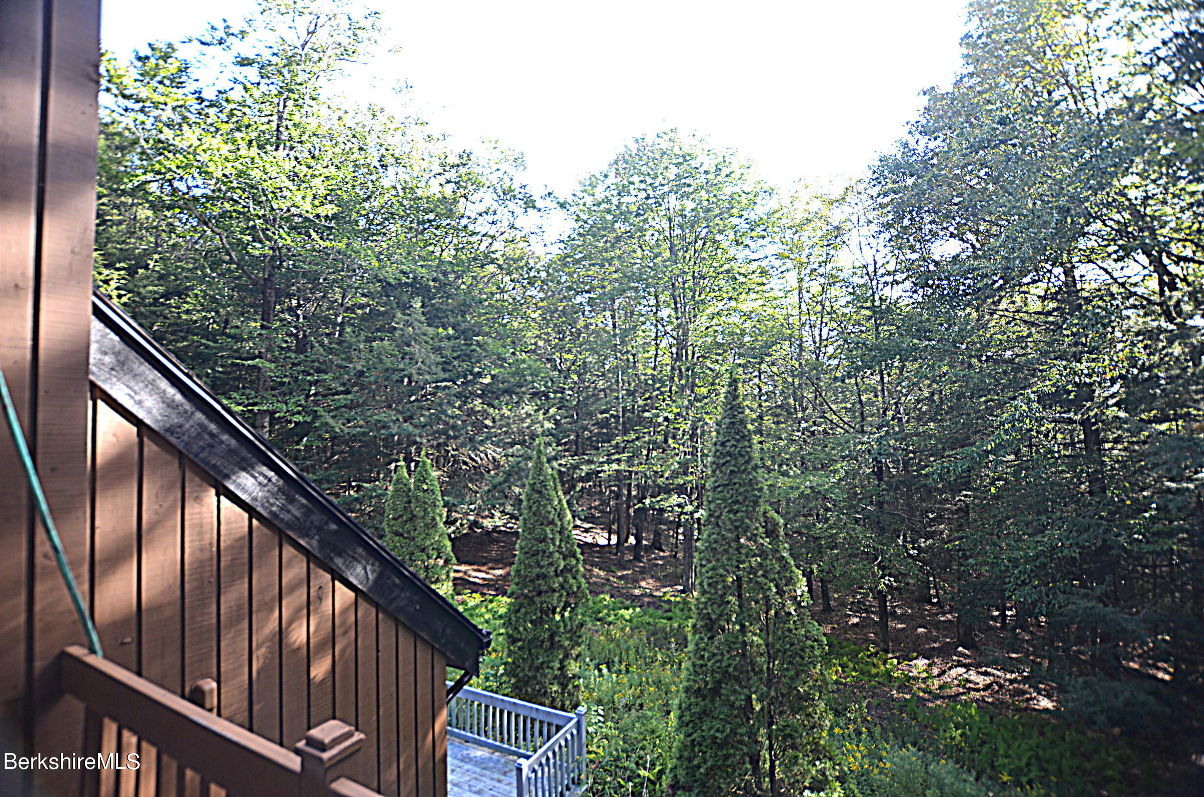 2477 West Center Road Otis, MA 01253 - Photo 26 of 31 a balcony with wooden floor and trees