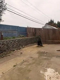 a view of a backyard