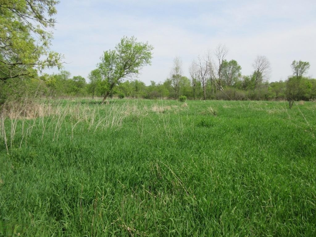 Parks Road Munith, MI 49259 - Photo 12 of 24 IMG_0826