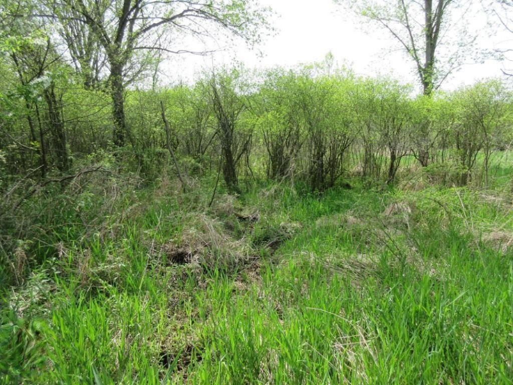 Parks Road Munith, MI 49259 - Photo 18 of 24 IMG_0842
