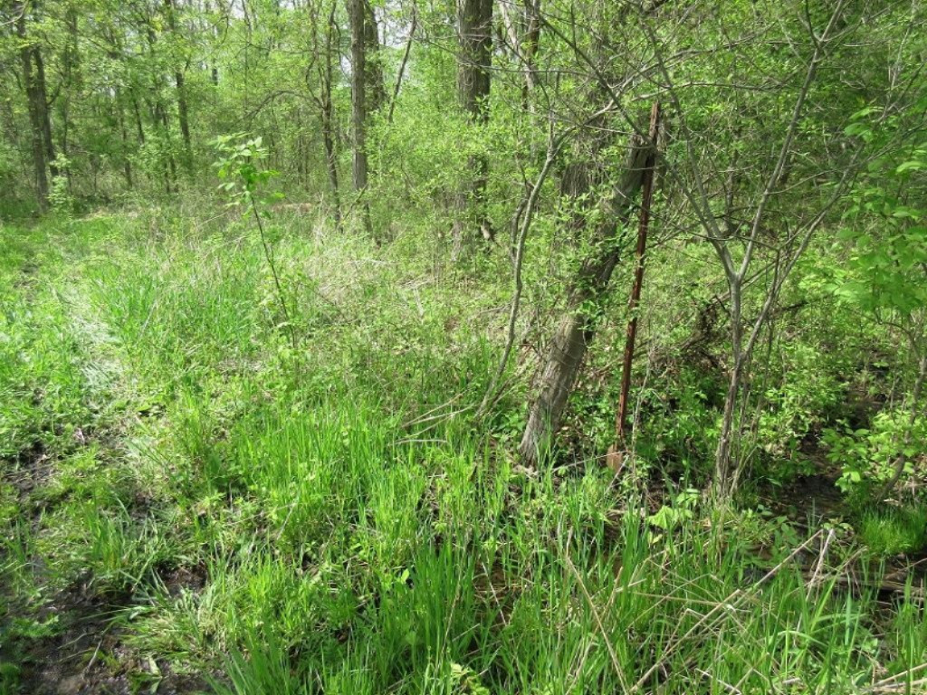 Parks Road Munith, MI 49259 - Photo 21 of 24 IMG_0845