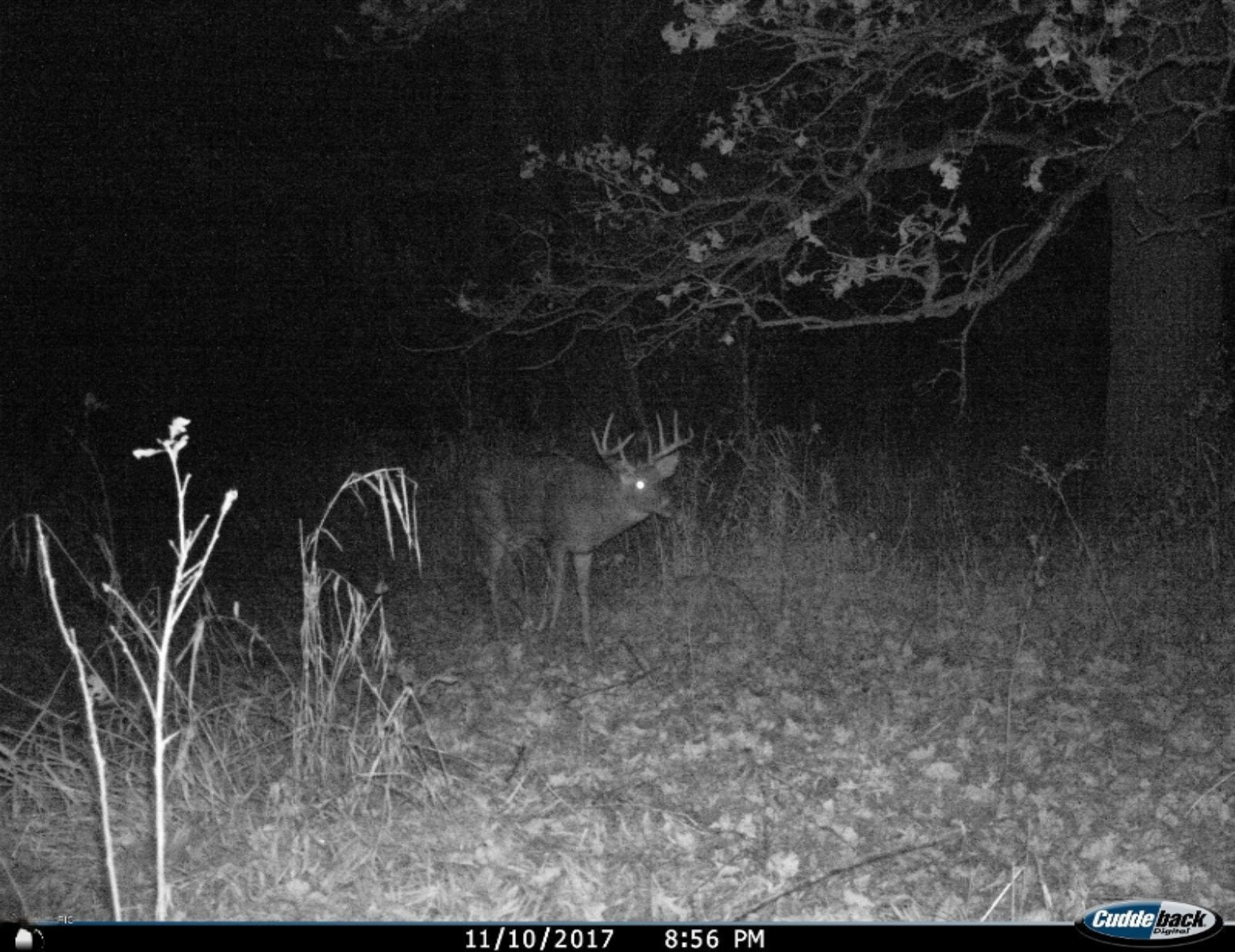 Parks Road Munith, MI 49259 - Photo 24 of 24 I__00056