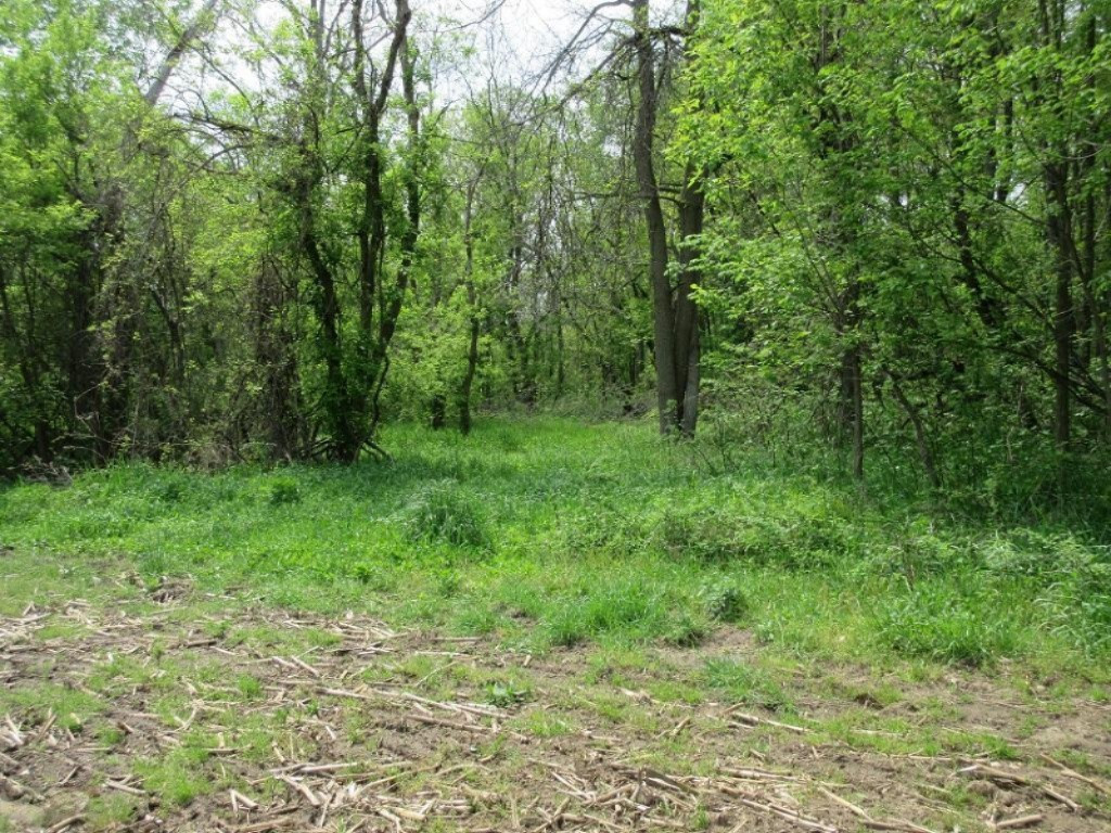 Parks Road Munith, MI 49259 - Photo 3 of 24 IMG_0810