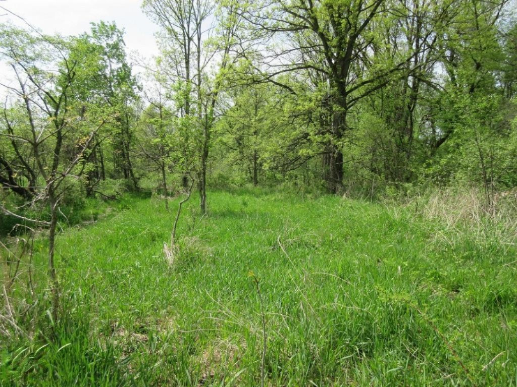 Parks Road Munith, MI 49259 - Photo 6 of 24 IMG_0815