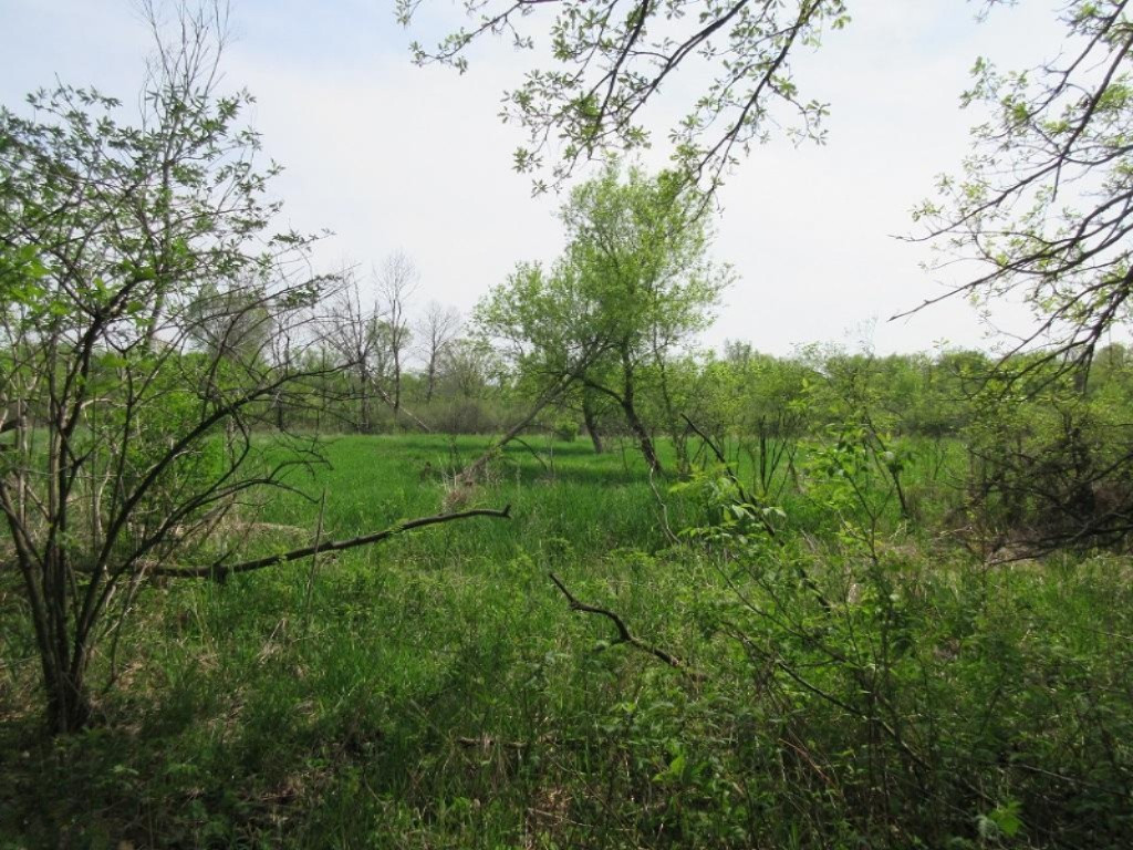 Parks Road Munith, MI 49259 - Photo 10 of 24 IMG_0821