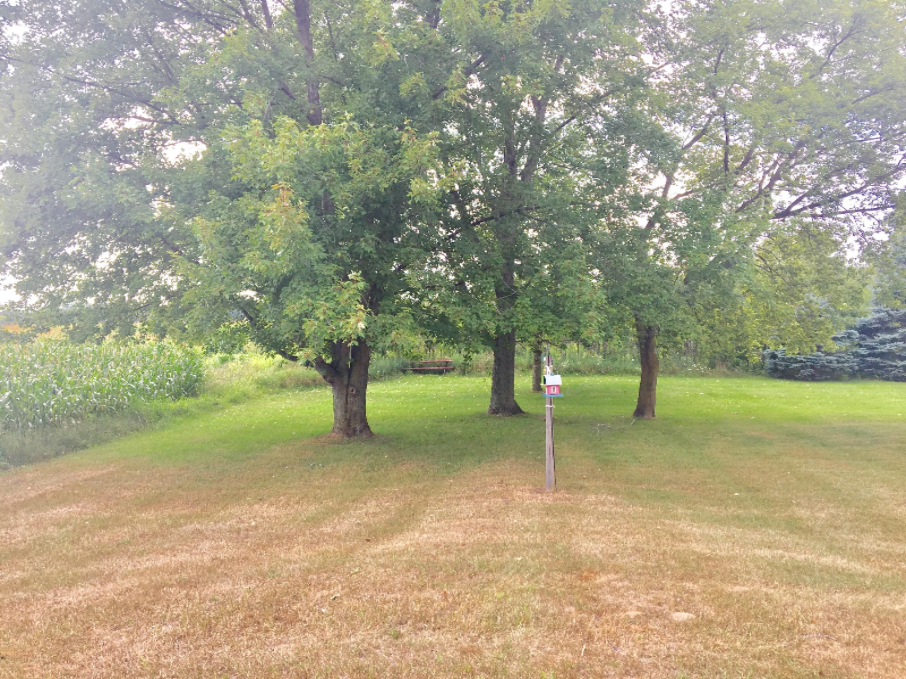 10934 Beardsley Road Carson City, MI 48811 - Photo 19 of 21 IMG_6613