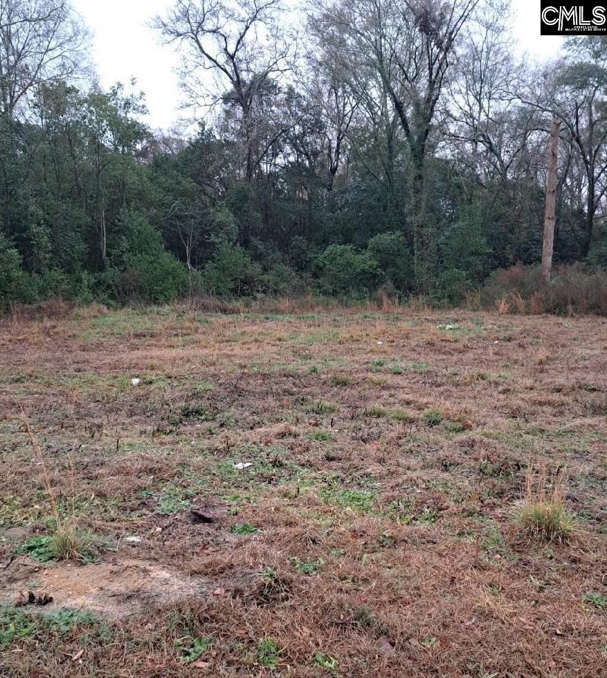 0 Popular Street, Unit LOT 1 Cayce, SC 29033 - Photo 6 of 8
