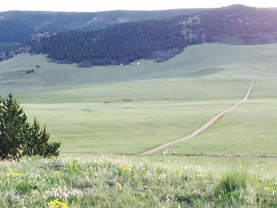 4815 Bar D Road Fairplay, CO 80440 - Photo 7 of 33 Gallery Image 7
