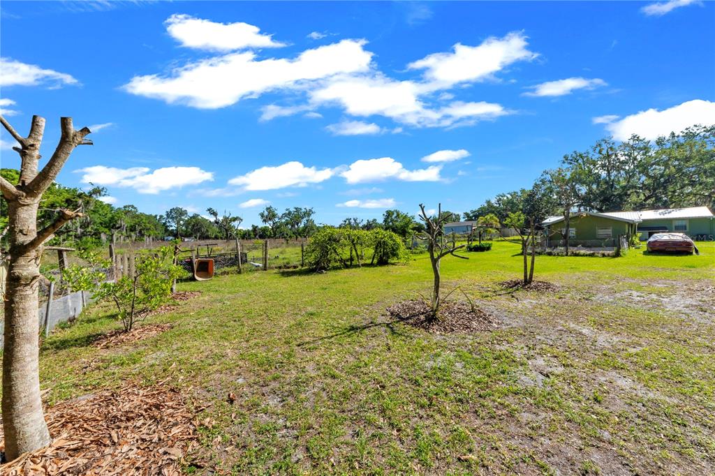 13610 Acker Road Dover, FL 33527 - Photo 28 of 53