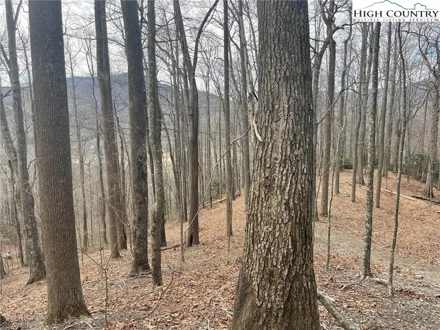 $179,500 | 10 Jackson Ridge Road, Boone, NC 28607