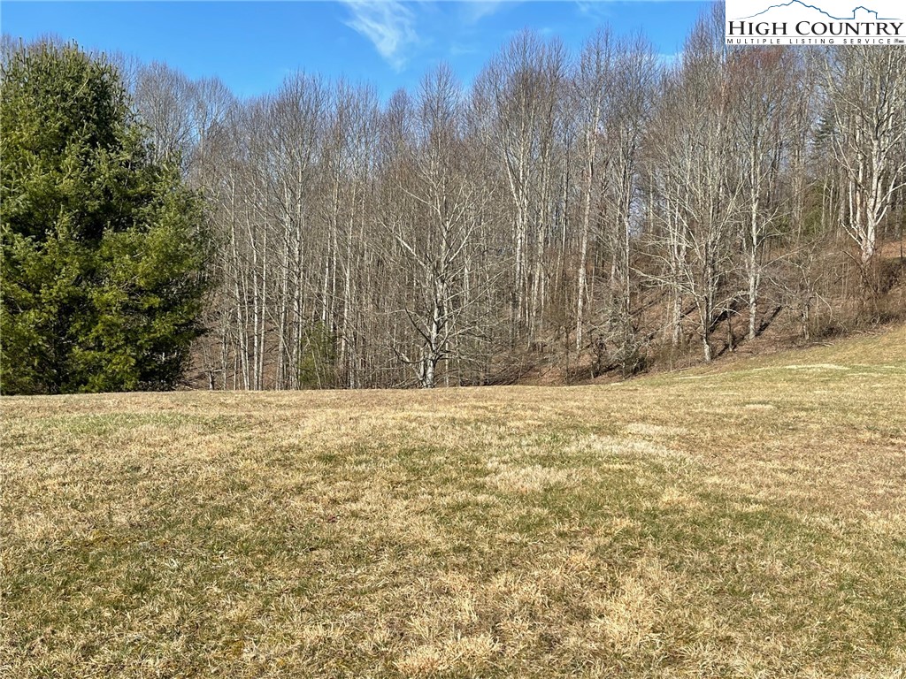 10 Jackson Ridge Road Boone, NC 28607 - Photo 12 of 12