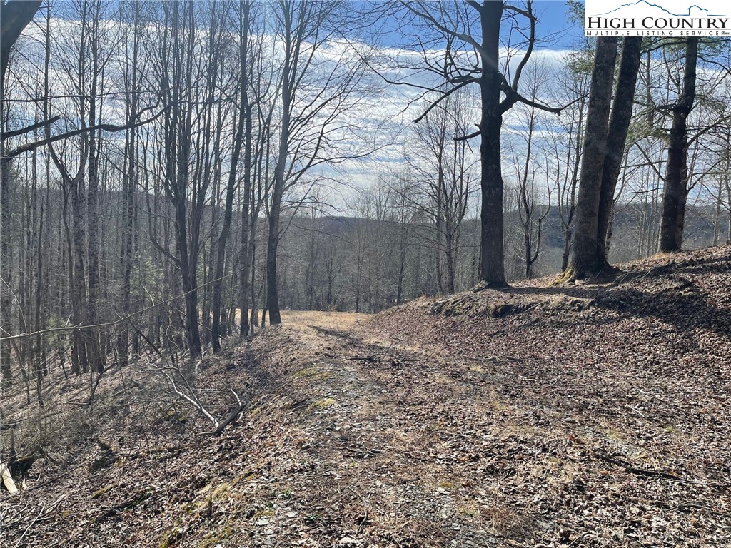 10 Jackson Ridge Road Boone, NC 28607 - Photo 2 of 12