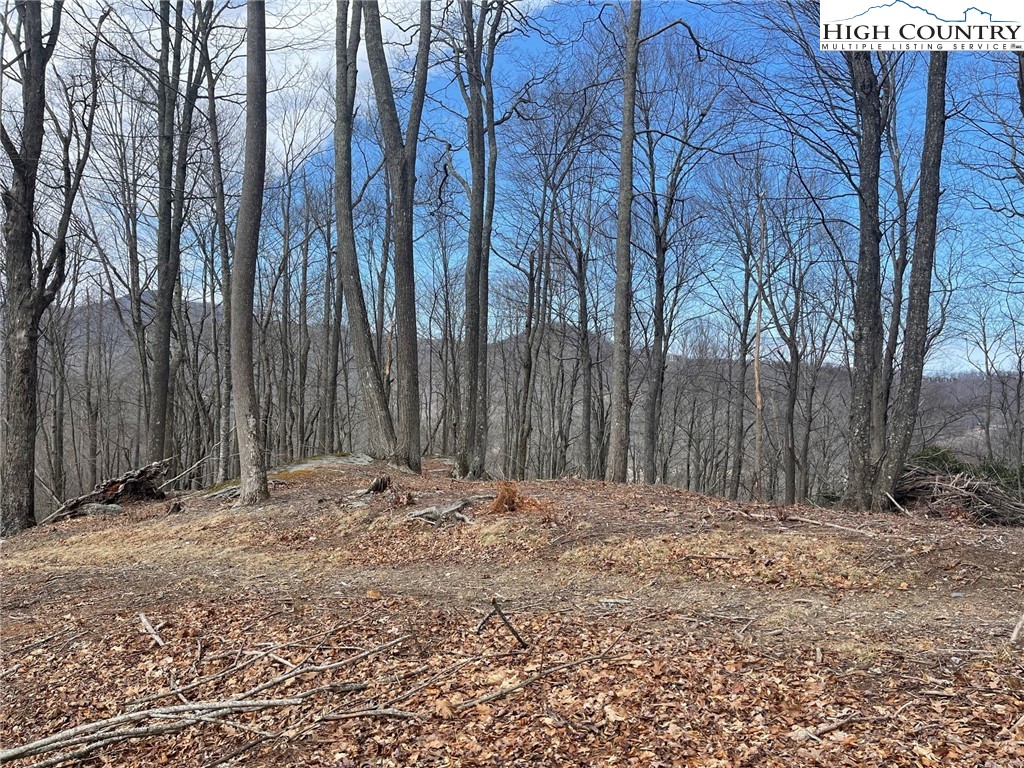 10 Jackson Ridge Road Boone, NC 28607 - Photo 5 of 12