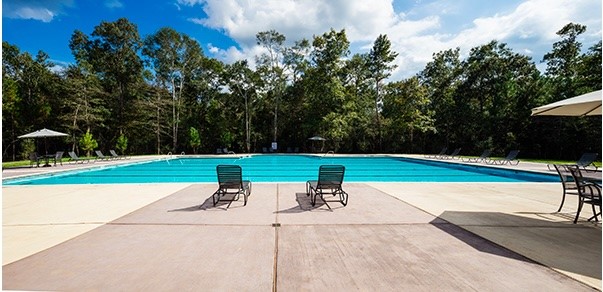 23509 Red Juniper Lane New Caney, TX 77357 - Photo 45 of 48 a view of a park with plants and trees