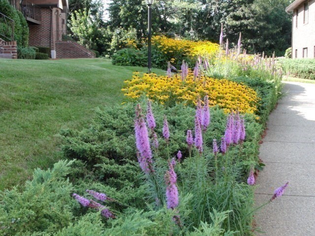 1003 North Main Street, Unit 7 Randolph, MA 02368 - Photo 24 of 31 a view of a pathway with a yard
