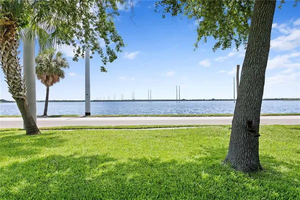 a view of a lake with a yard and a large tree