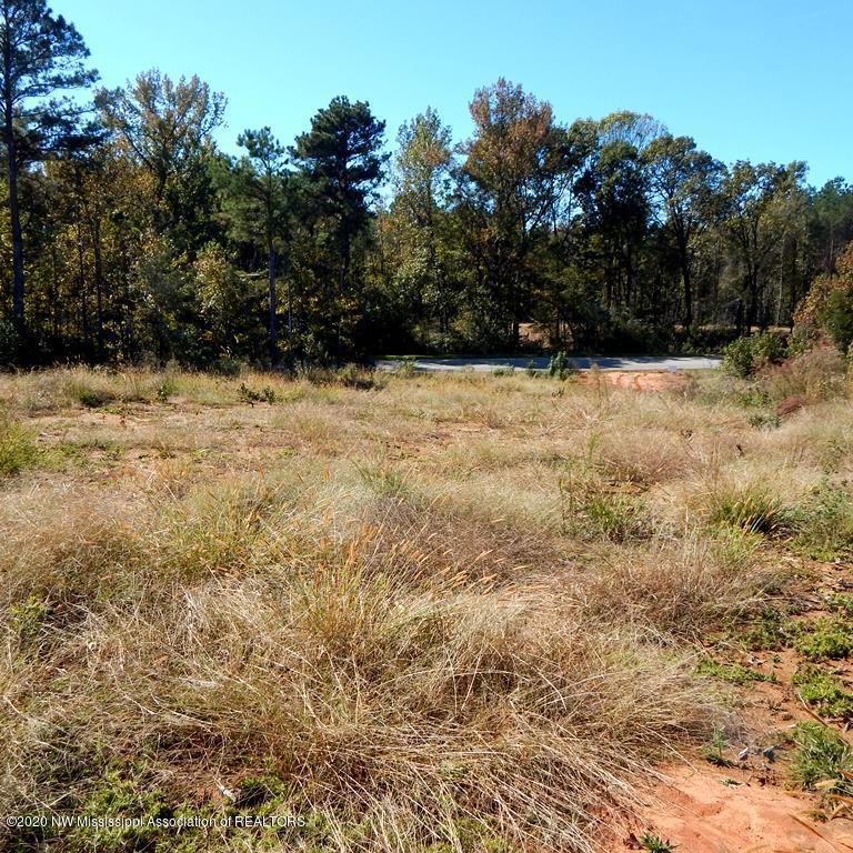 6423 Pea Ridge Road Grenada, MS 38901 - Photo 4 of 12
