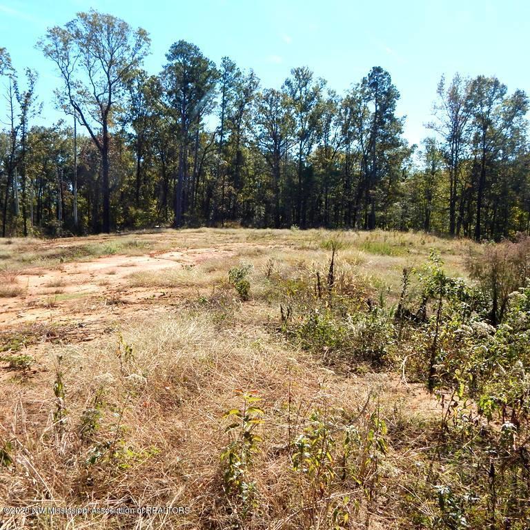 6423 Pea Ridge Road Grenada, MS 38901 - Photo 6 of 12