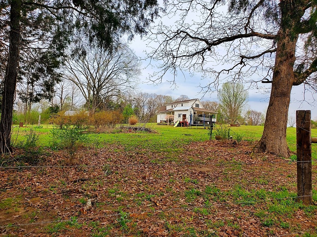 563 Hebron Road Bruceton, TN 38317 - Photo 61 of 70 Gallery Image 61