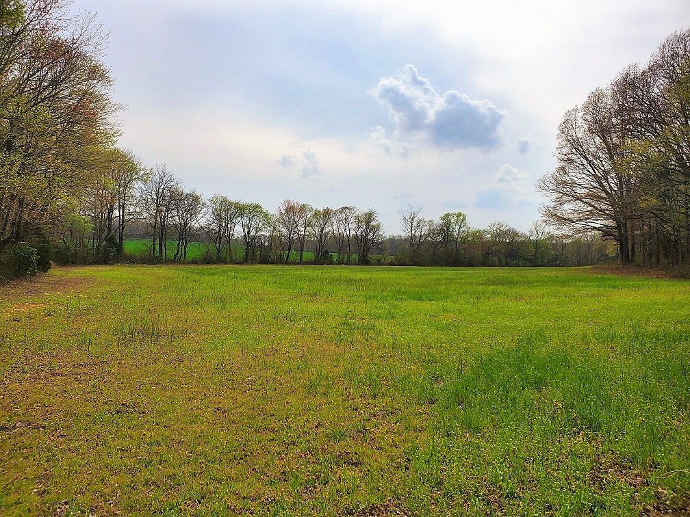 563 Hebron Road Bruceton, TN 38317 - Photo 65 of 70 Gallery Image 65