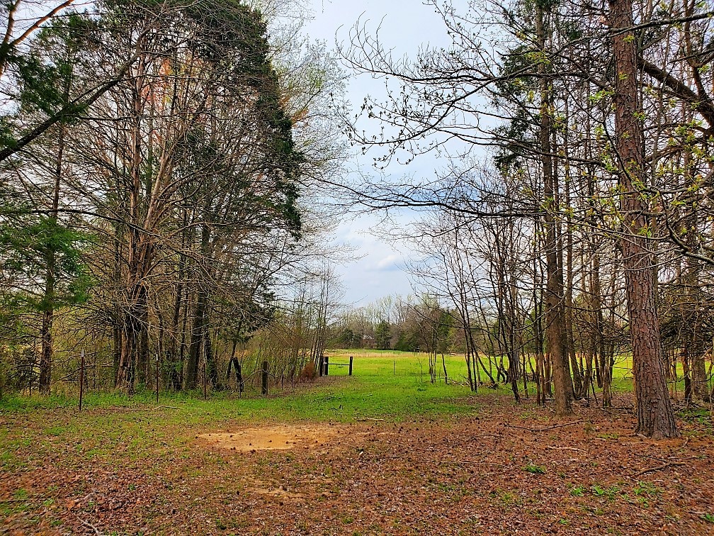 563 Hebron Road Bruceton, TN 38317 - Photo 66 of 70 Gallery Image 66