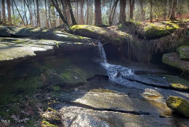 $629,990 | 1117 Dartford Green Place, Wake Forest, NC 27587